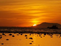 -小猫钓鱼海钓俱乐部(椰梦长廊店)