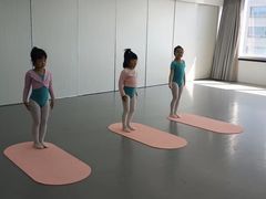 -舞蕾舞蹈(特长生校区)