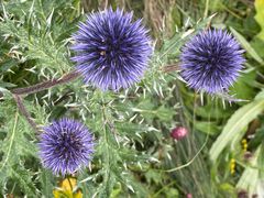 -白草畔自然风景区