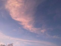 -白天鹅宾馆·流浮阁咖啡厅