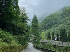 -青城山