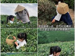 -波尔登森林公园