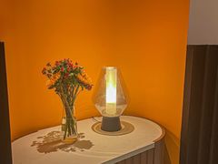 -阿妮叶李(光谷世界城店)