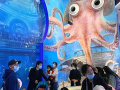 -贝林大翅鲸简餐厅(国家海洋博物馆店)