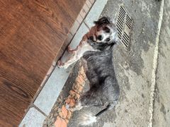 -欧阳家吊炉饼(九纬路店)