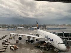 -德国汉莎航空