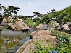 -罗红摄影艺术馆