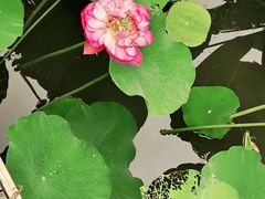 -沐仙湖湿地公园