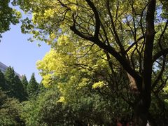 -复旦大学光华楼
