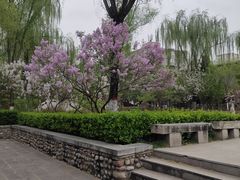 -文瀛公园