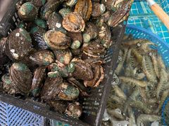 -盛华世家商业广场农贸水产综合批发市场