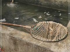 -花卉鱼庄(嘉园文景苑店)