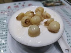-义顺牛奶公司(新马路老店)