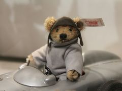 android_upload_pic-济州岛泰迪熊博物馆