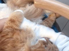 -平行世界·猫咖(首经贸店)