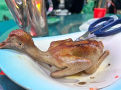 -石岐乳鸽村(南海第三分店)
