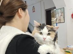 -翊宠yipet猫狗购宠庄园犬舍•猫舍