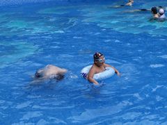 -上海浦东星河湾酒店