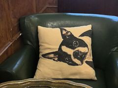 -春风·有糖(崇宁路店)