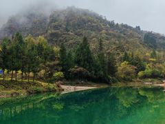 -鹿院坪生态旅游景区