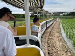 -新地休闲农场