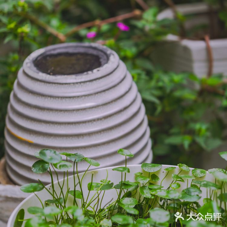 热闹的江汉路步行街背面，一墙之隔的上海村旧址 