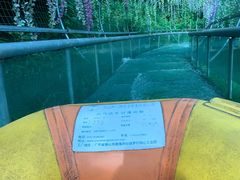 -广东天露山旅游度假区