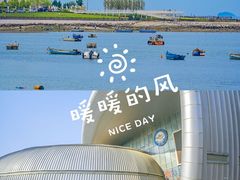 -烟台海昌鲸鲨海洋公园