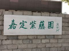 -嘉定紫藤园