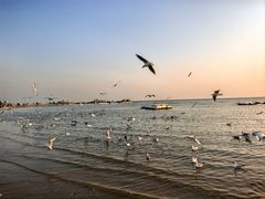 -老虎石海上公园