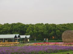 -嘉北郊野公园