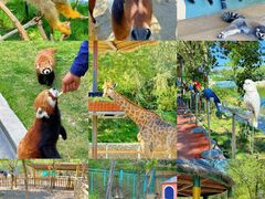 -水上乐园·欢乐世界