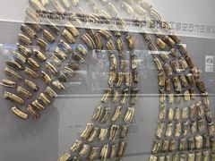 -大连自然博物馆