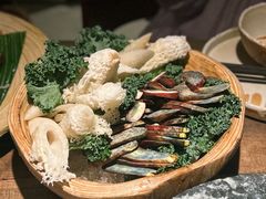 -蘑界·野生菌火锅(深业上城店)