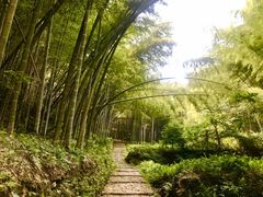 -会稽山峡洞漂流-上青古道