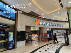 -AMG海上明珠影城(上海环球港RealDCinema店)