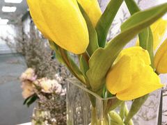 -四季美学色彩形象管理服装搭配