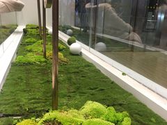 -喜茶(永旺梦乐城店)