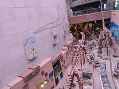 -陕西自然博物馆