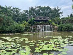 -中国科学院西双版纳热带植物园