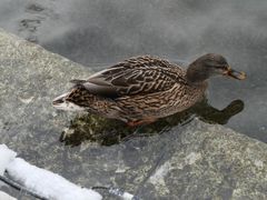 -水磨沟公园