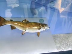 -陕西自然博物馆