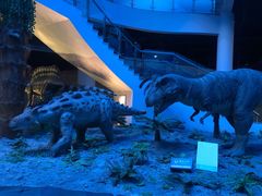 -辽宁古生物博物馆