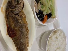 -浦东图书馆读者餐厅