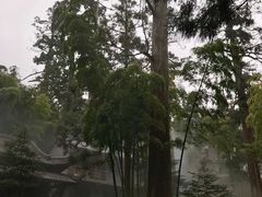 -东天目山风景区