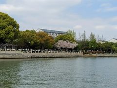 -苏州古运河游船(新市桥码头)