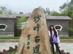 -阳台山自然风景区