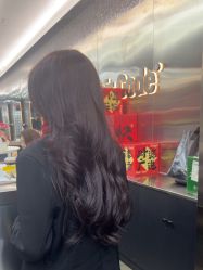 -Hair Code芭曲发型