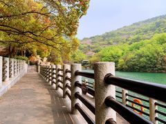 -白马涧龙池景区