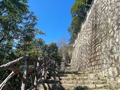 -青芝山风景名胜区